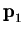 $\mbox{\bf p}_1$